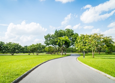 LANDSCAPED PARKS