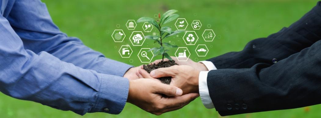 Sustainable Developments: The Green Revolution in Dubai’s Real Estate Market