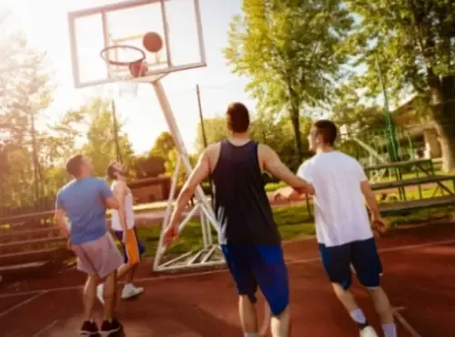 SPORTS COURT