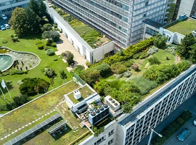 SKY GARDEN