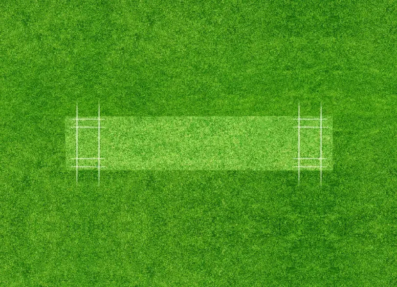 Cricket Pitch