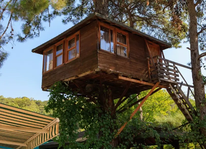 Tree House