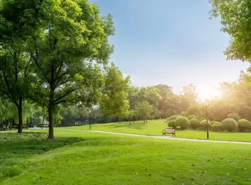LANDSCAPED PARKS