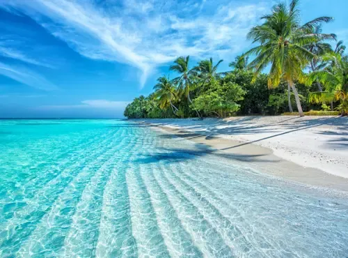 LAGOON BEACH