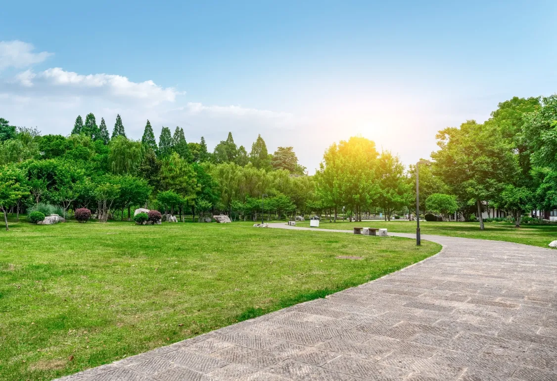LANDSCAPED GARDENS